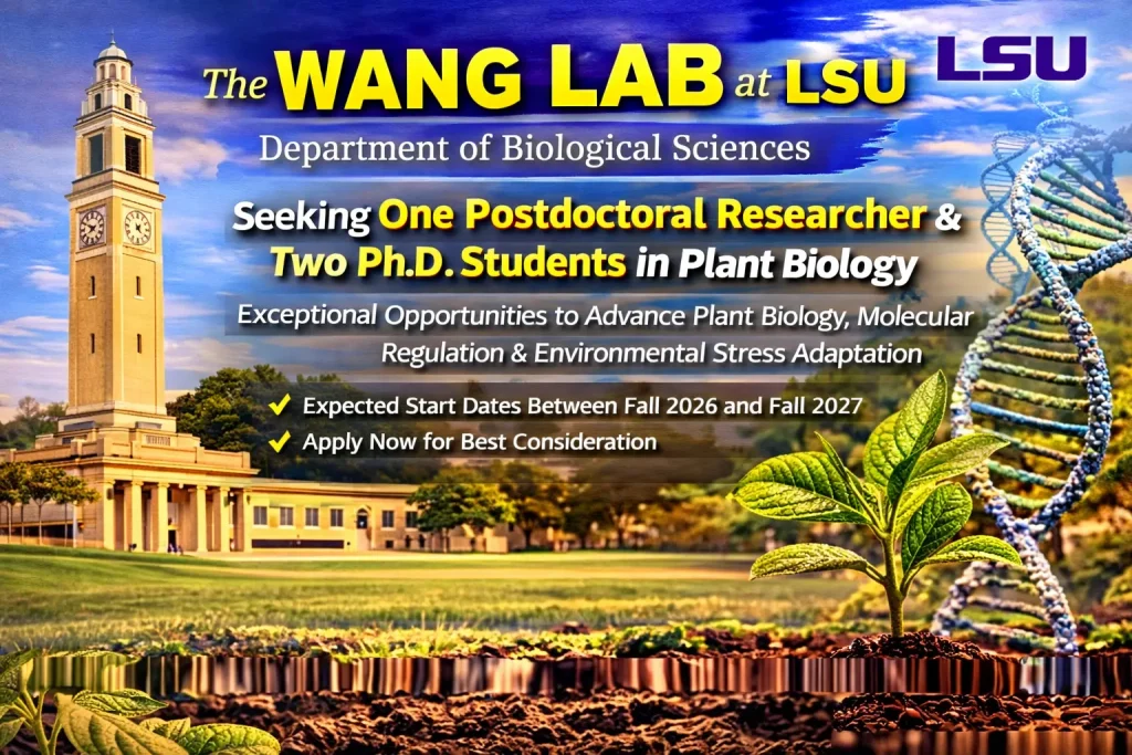 Postdoctoral and Ph.D. Opportunities at Louisiana State University