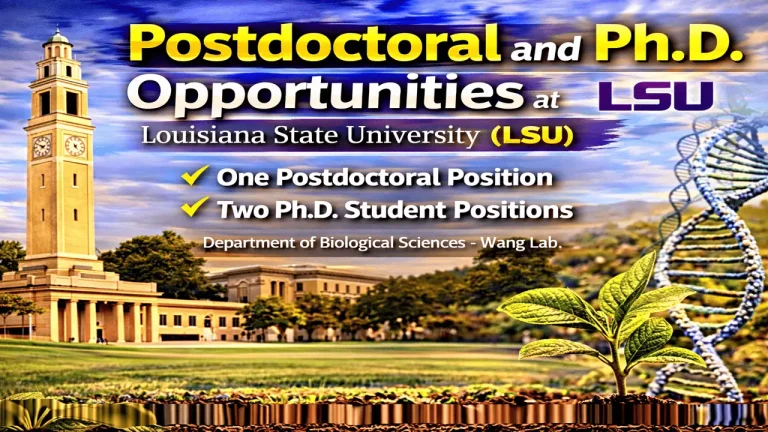 Postdoctoral and Ph.D. Opportunities at Louisiana State University